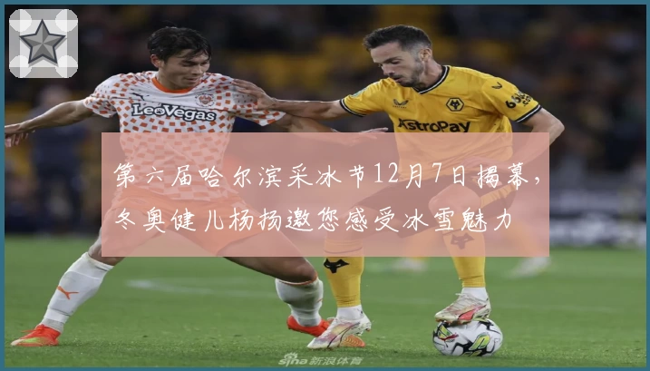 第六届哈尔滨采冰节12月7日揭幕，冬奥健儿杨扬邀您感受冰雪魅力
